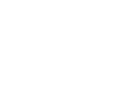 Diebold Nixdorf Logo