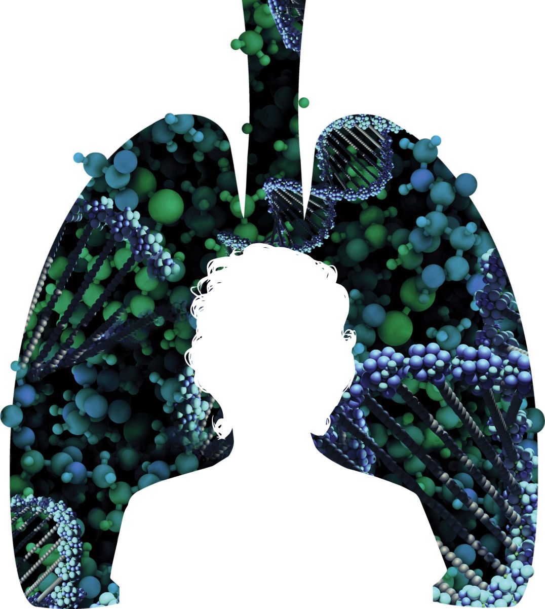 Lungs